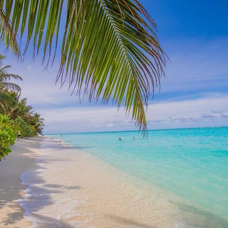 Jeym Lodge Thoddoo-Atoll Exterior foto