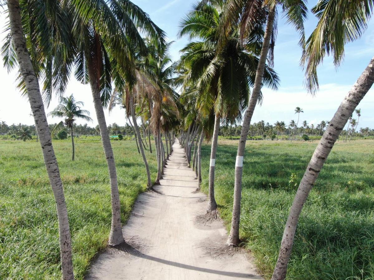 Jeym Lodge Thoddoo-Atoll Exterior foto