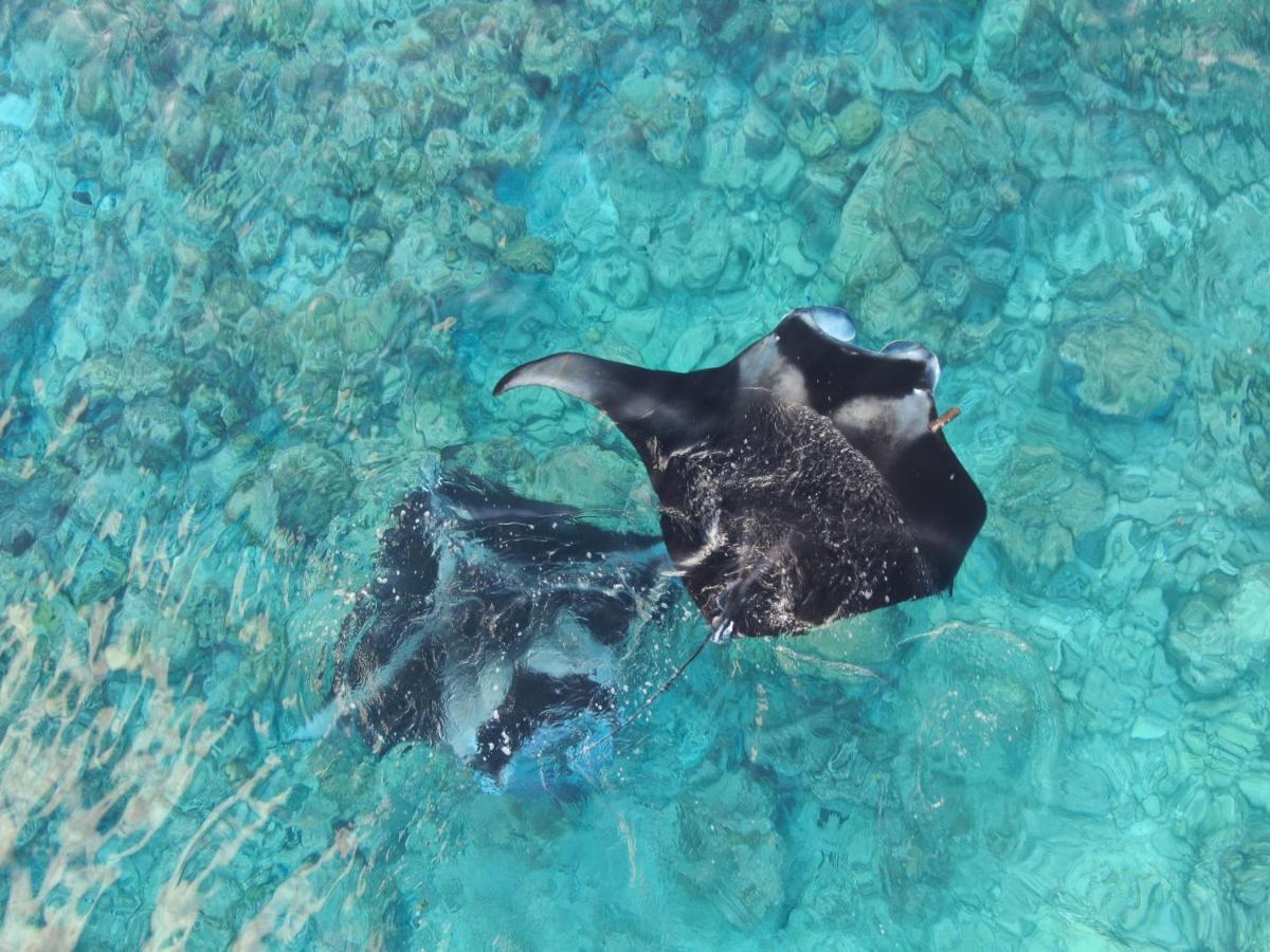 Jeym Lodge Thoddoo-Atoll Exterior foto