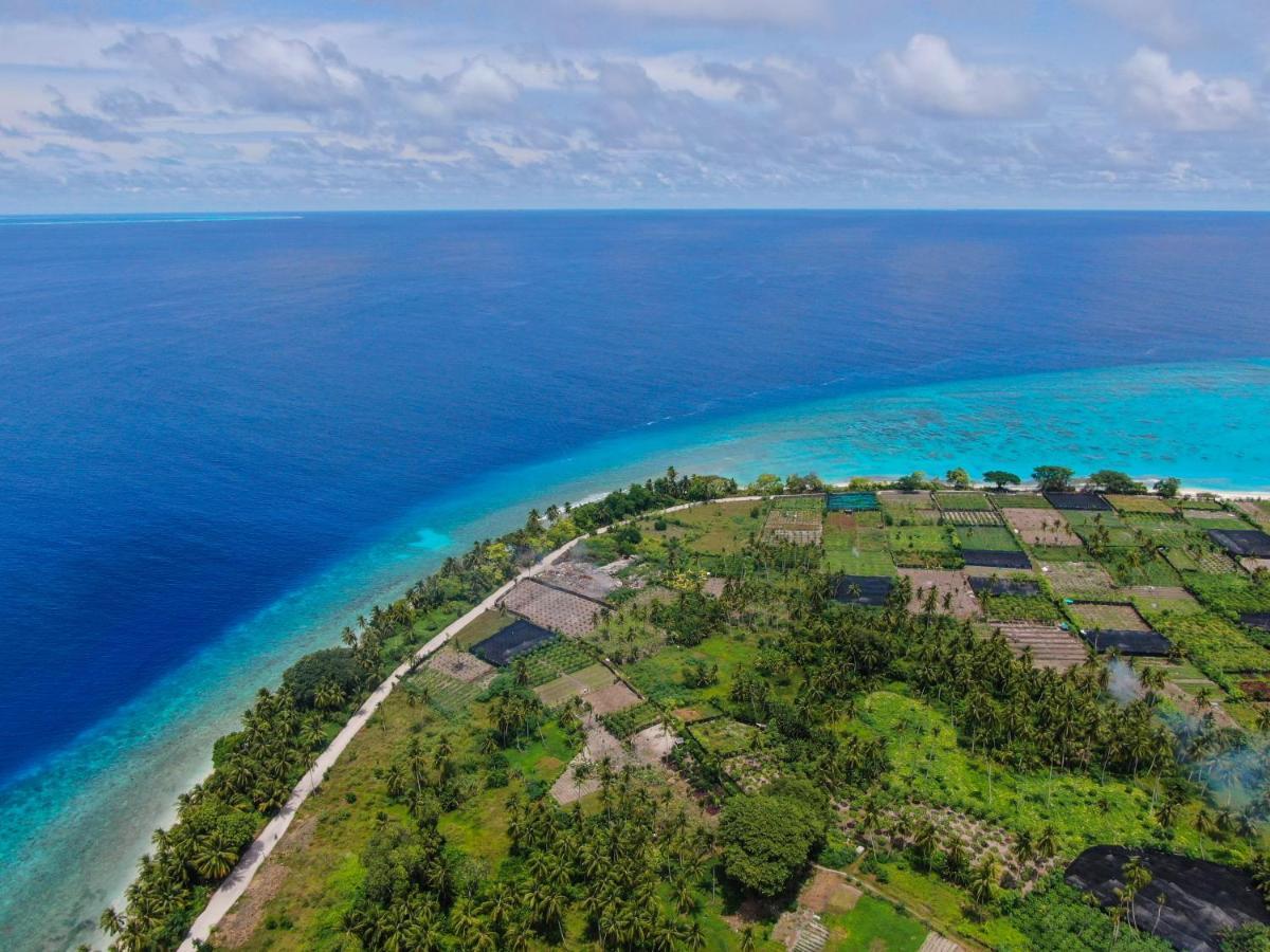 Jeym Lodge Thoddoo-Atoll Exterior foto