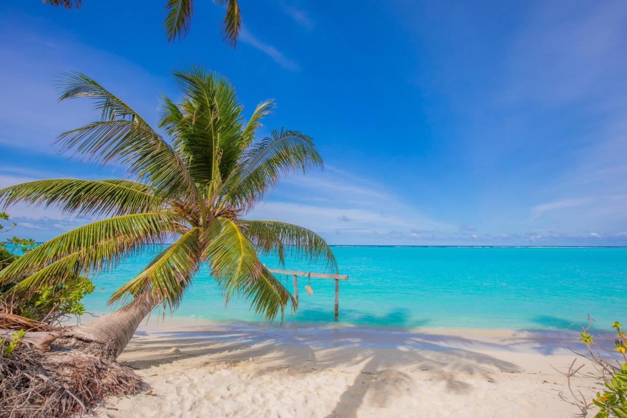 Jeym Lodge Thoddoo-Atoll Exterior foto